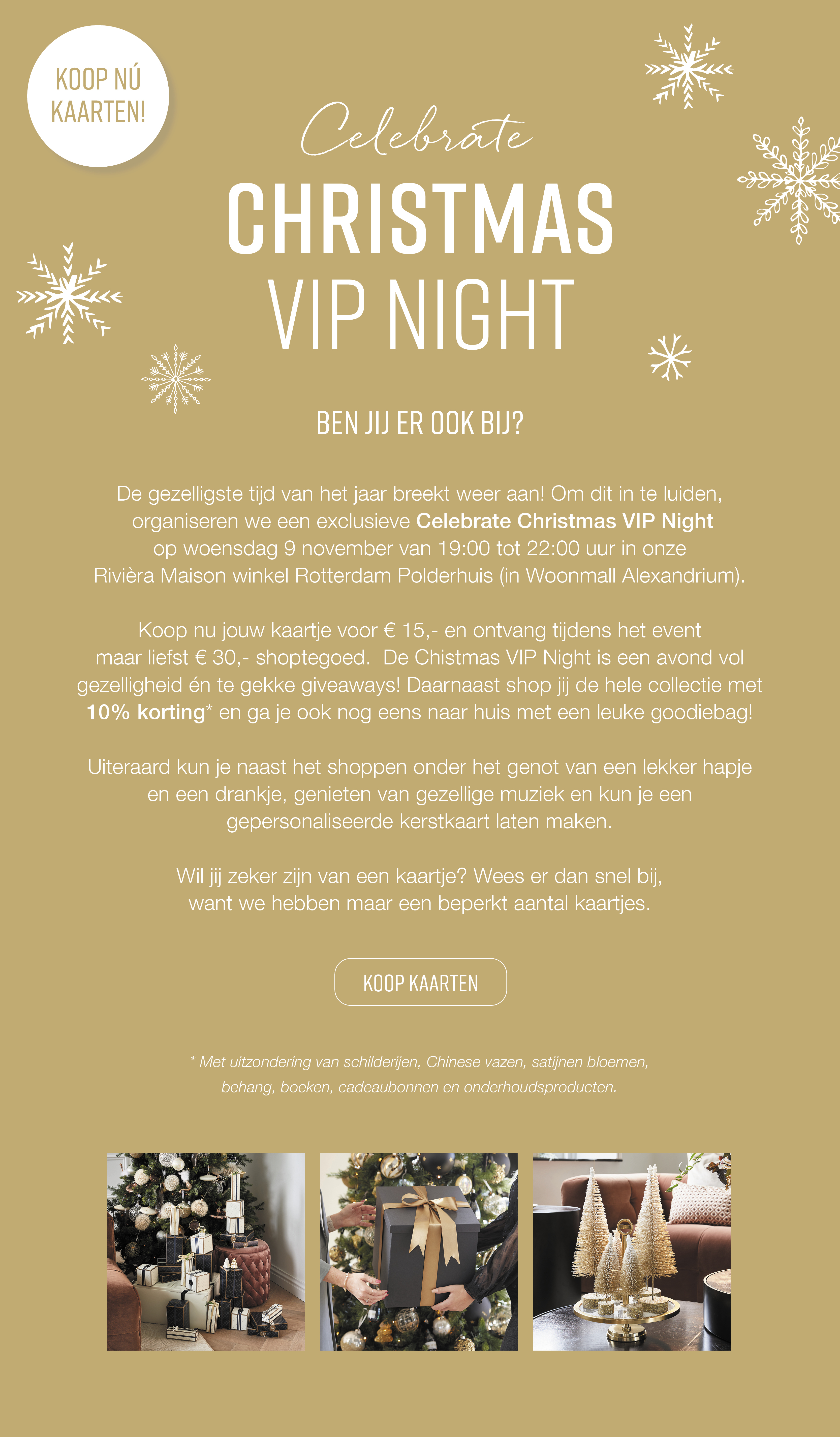 Christmas VIP Night