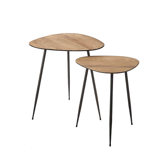 Twiggy End Table Set van 2