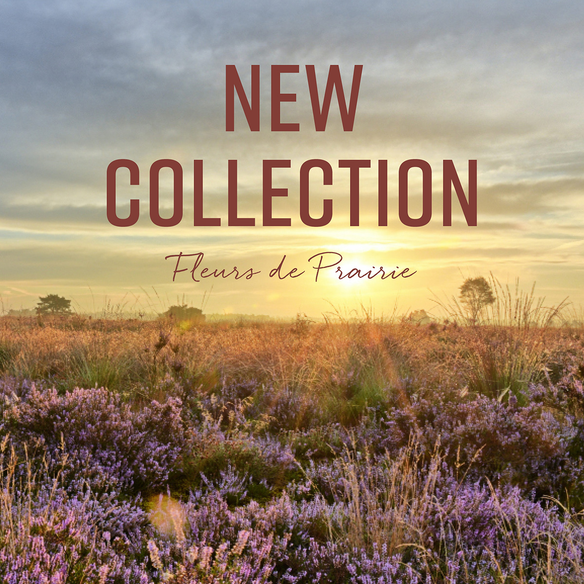 New release on Monday | Fleurs De Prairie