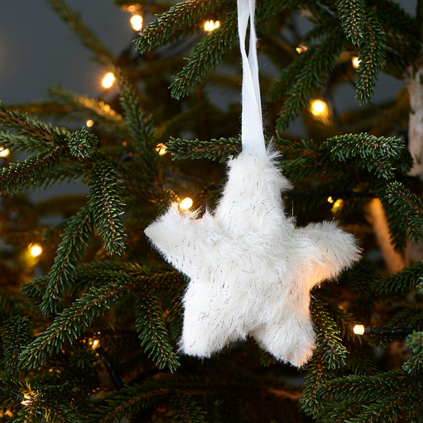 Glittering Star Ornament