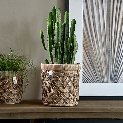 Rustic Rattan Diamond Weave Planter M