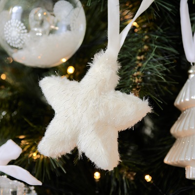 Glittering Star Ornament